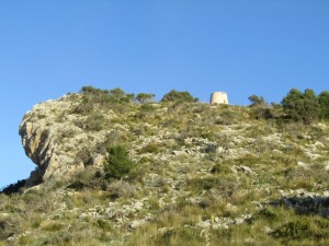IMG_3719 (Medium)